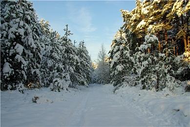 《剑星》PC版发售 带动PS5版额外售出22万套游戏